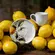 Xícara de Café e Pires Cerâmica Stoneware Bio Limonata 120ml - 1 Unid.
