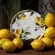 Prato Sobremesa em Cerâmica Stoneware Bio Limonata 21,5 cm - 1 Unid.