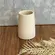 Copo Porta-Escovas em Cimento Orgânico Bege Curvoa 11x7,5cm