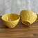 Bowl Tigela em Cerâmica Cestino Mostarda 367ml  - 1 unid.