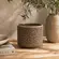 Cachepot Vaso Decorativo Savia em Cerâmica Marrom com Relevo 15,5 cm