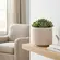 Cachepot Vaso Decorativo Savia em Cerâmica Off-White com Relevo 15,5cm